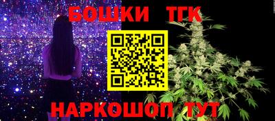 стафф Заводоуковск