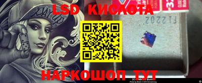 стафф Заводоуковск