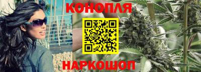 стафф Заводоуковск
